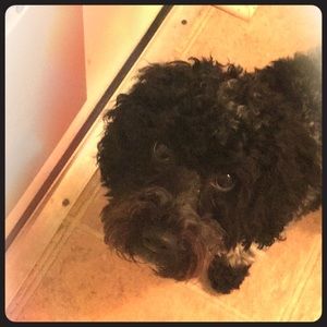 Meet your Posher, Kayley